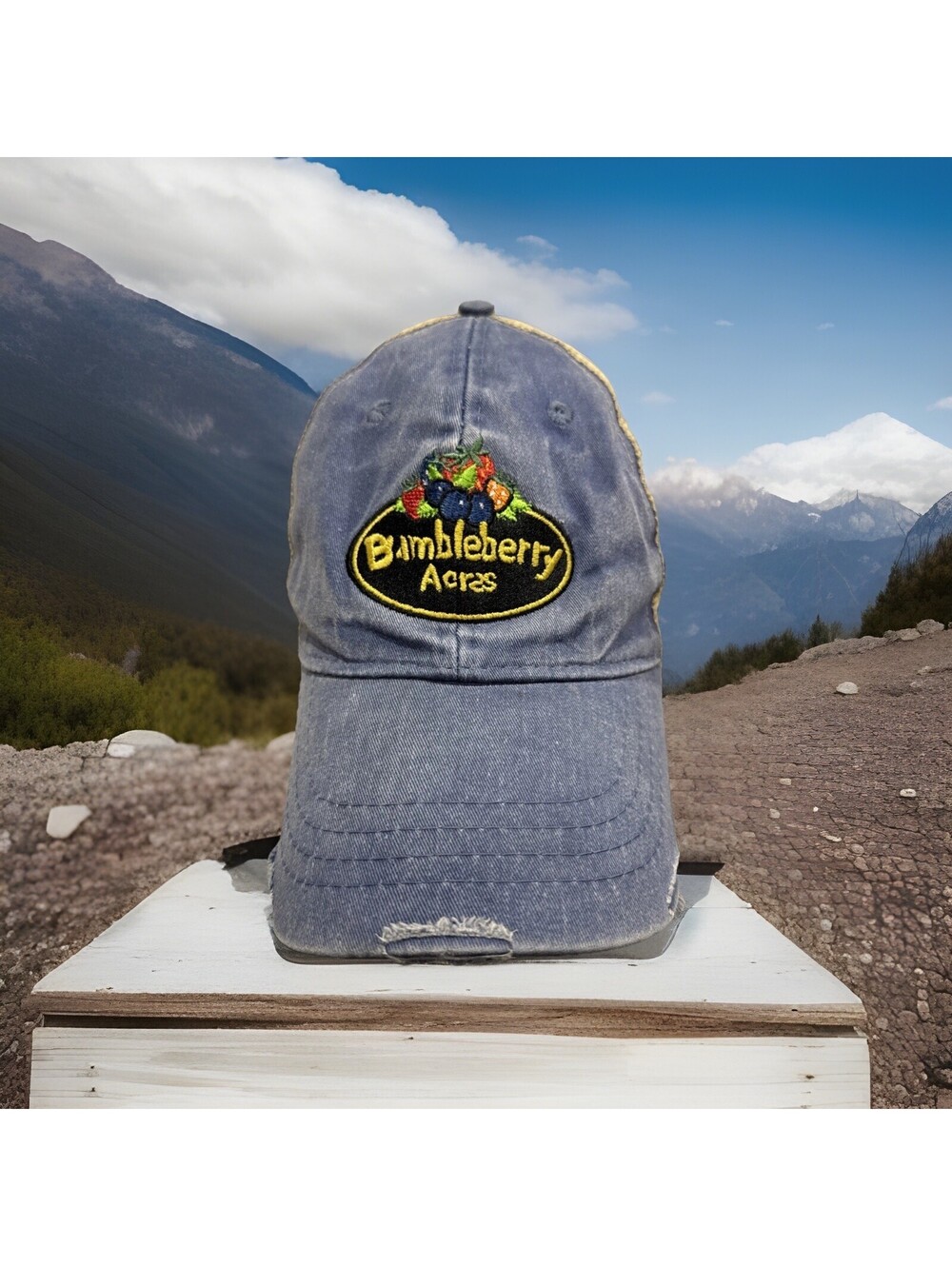 Bumble Berry Acres Farm For You Pick Blueberries Farmers MarkyBaseball Cap